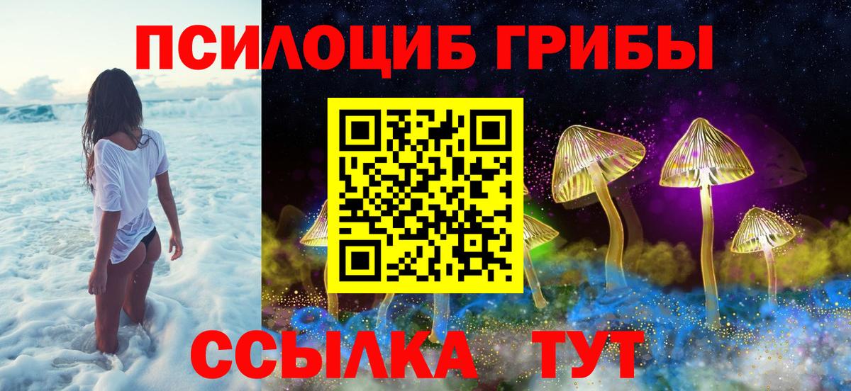 Галлюциногенные грибы ЛСД  Псилоцибиновые грибы прущие грибы  Миллерово  Вход с VPN 